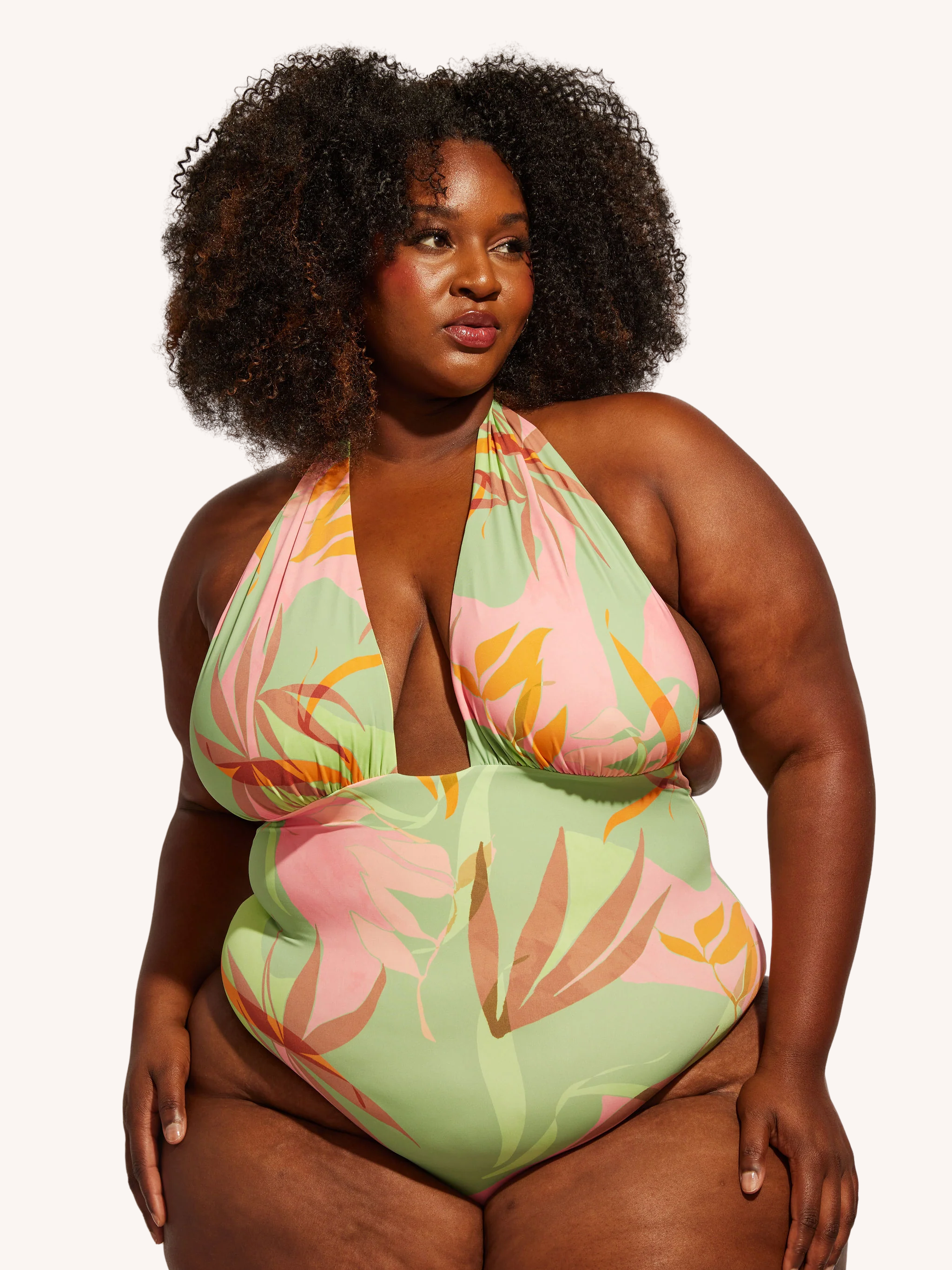 Isle One Piece | Birds of Paradise