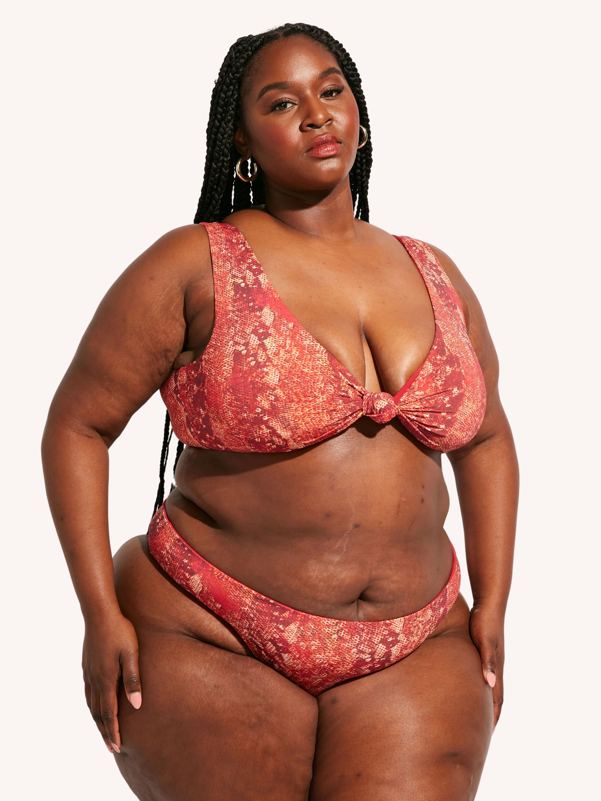 Playa Bottom | Iguana