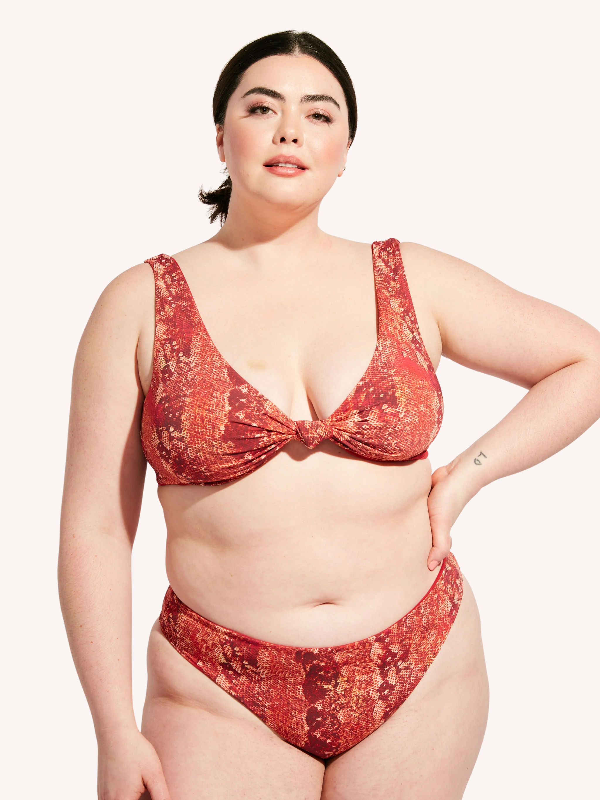 Playa Top II | Iguana