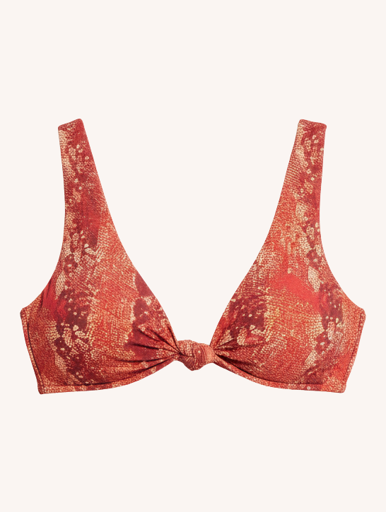 Playa Top II | Iguana