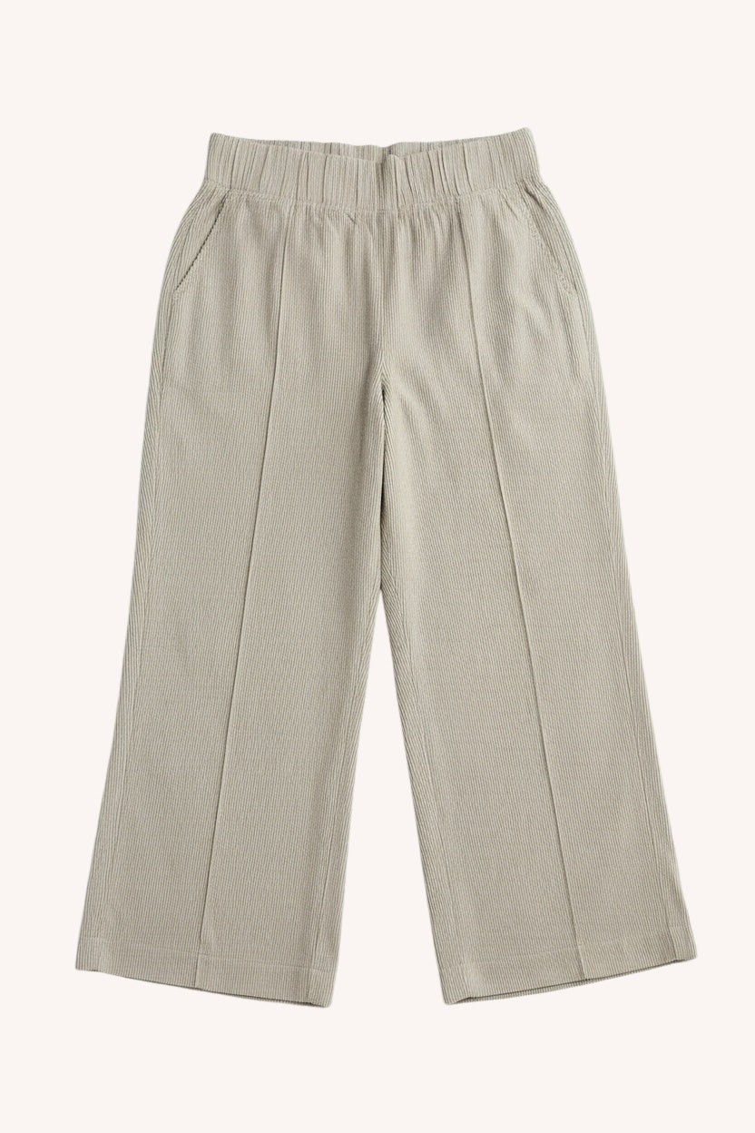 Multitasker Light Weight Pant | Stripe